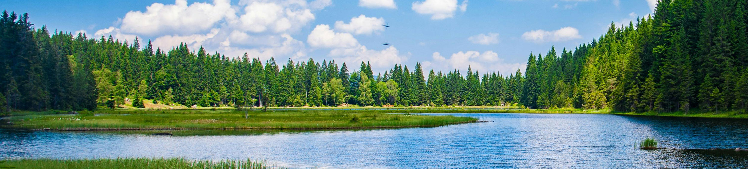 View of lake, trees and sky