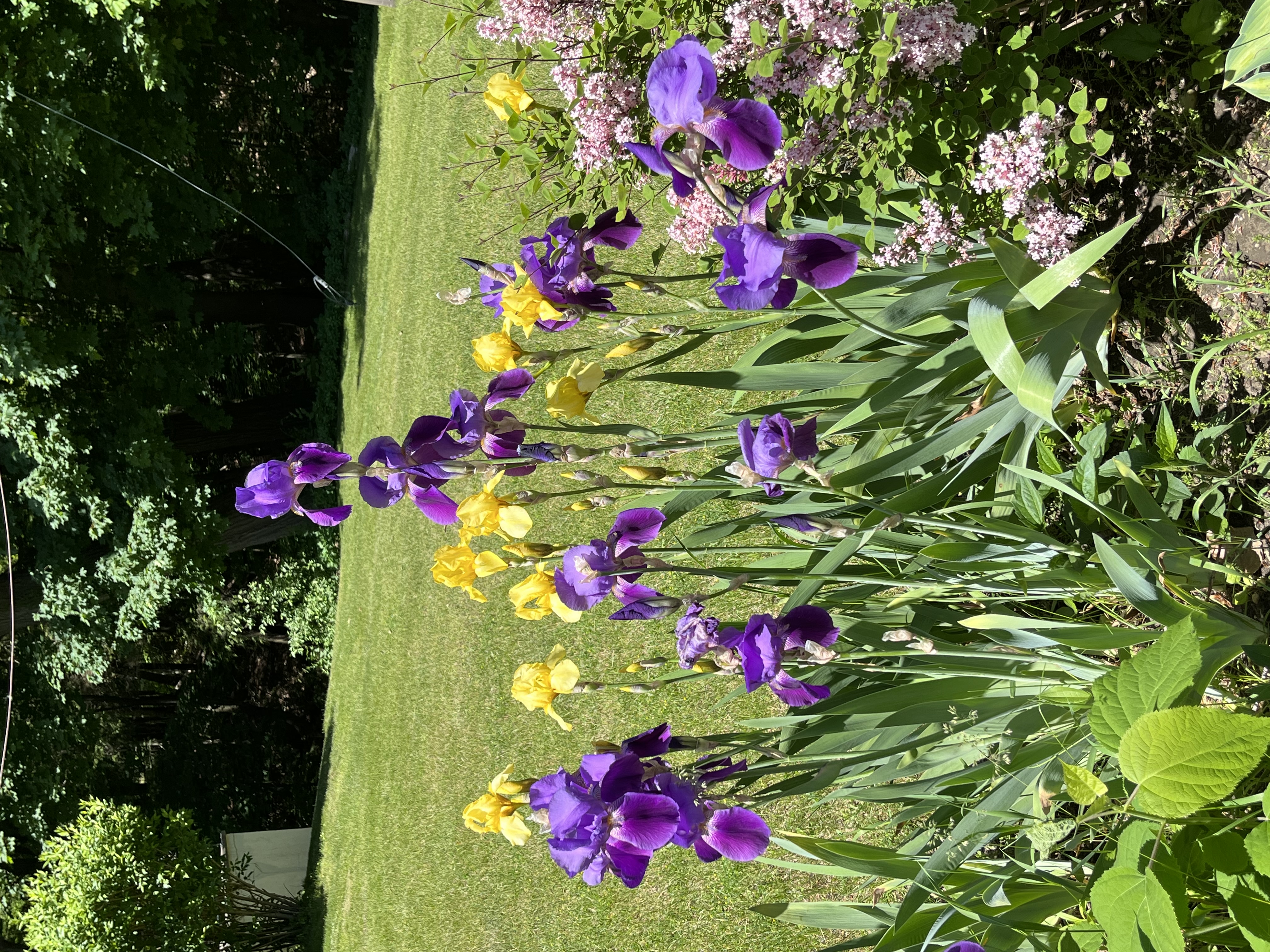 Silent Retreat - Flowers