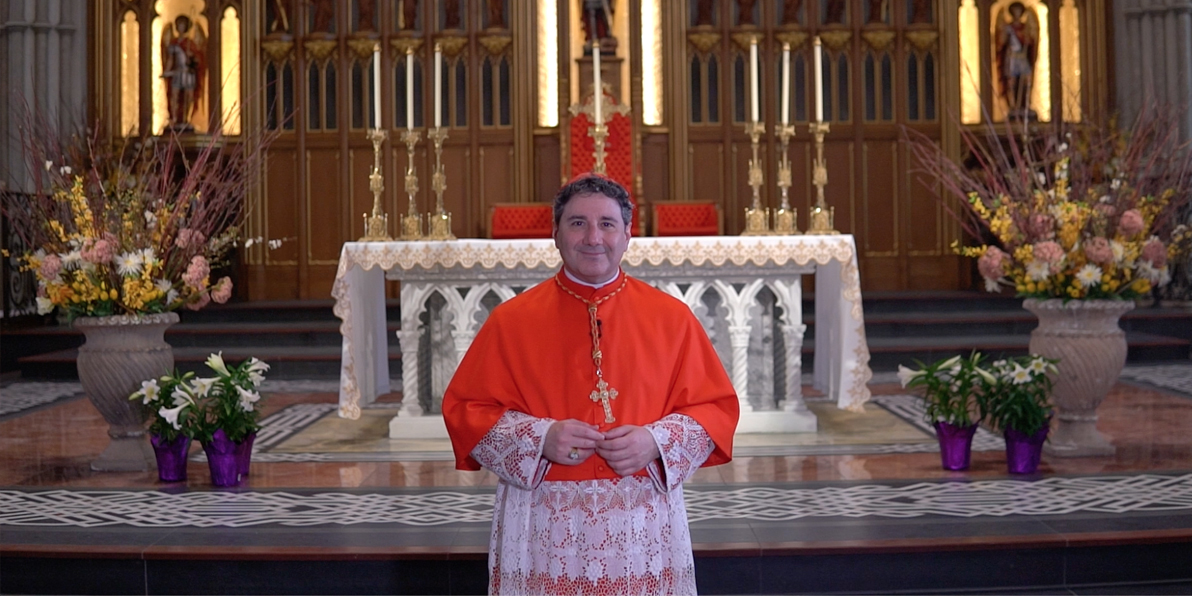 Cardinal Leo