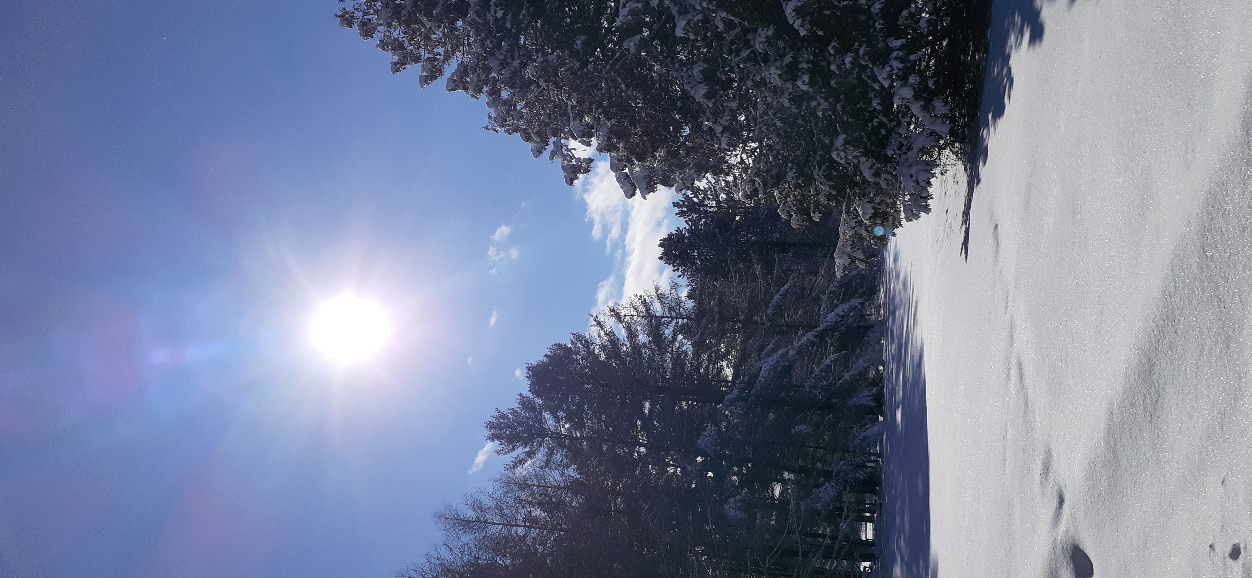Sunny day