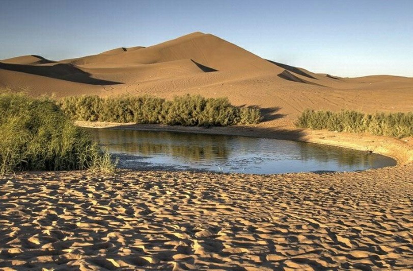 Oasis in Desert