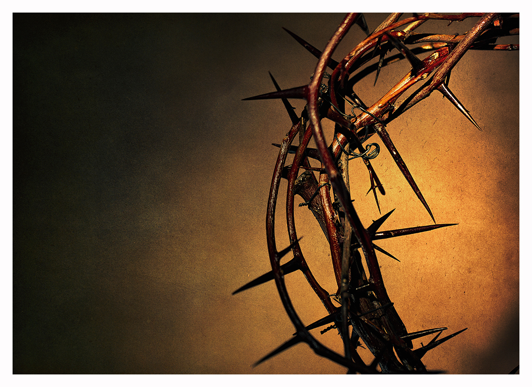 Crown of Thorns Image