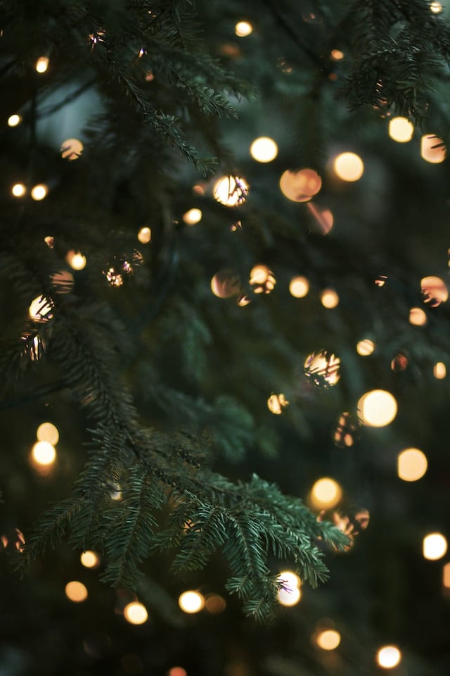 Christmas tree with string lights