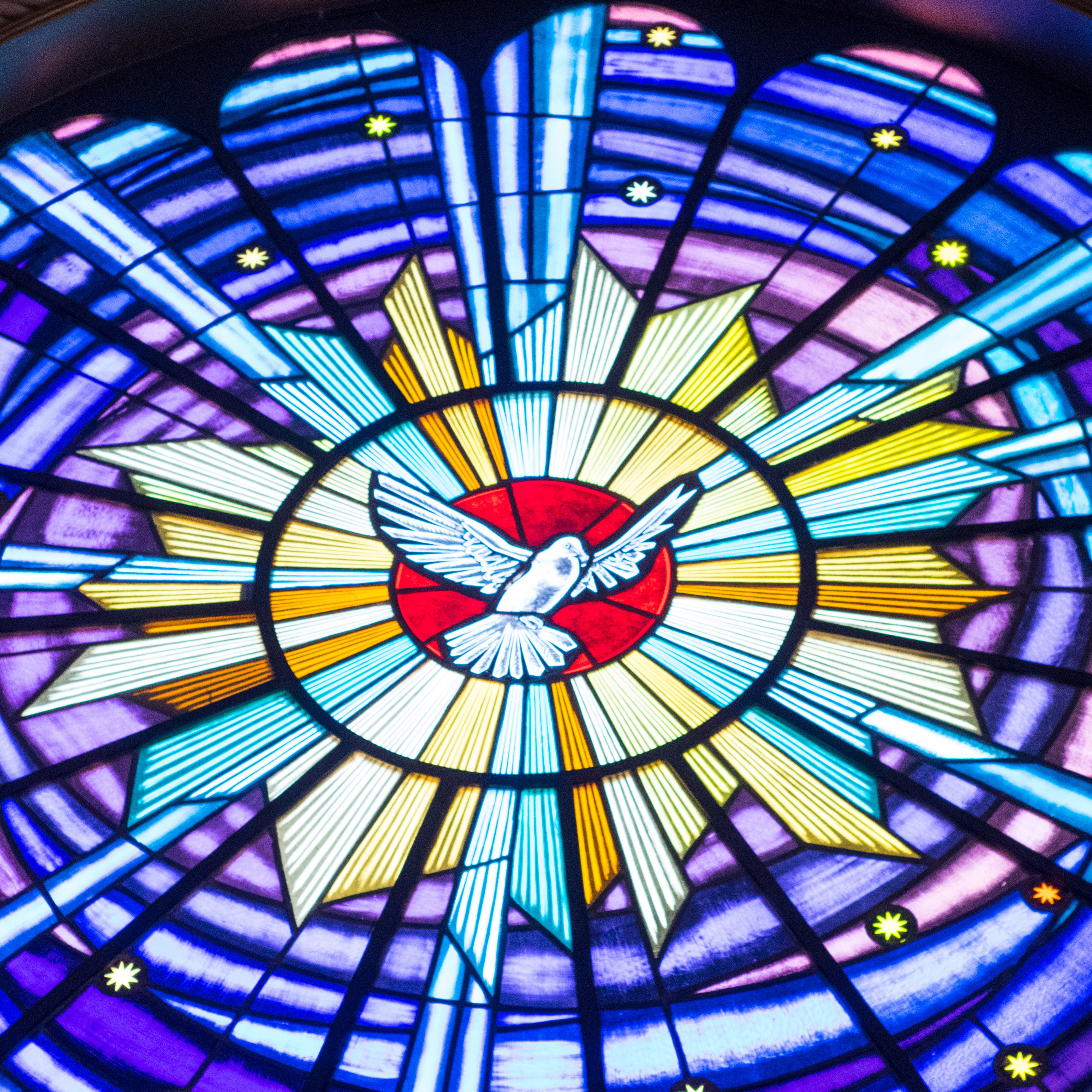 Round Stained Glass Dove