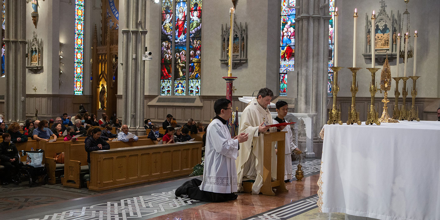 Solemnity of the Annunciation of Our Lord Banner