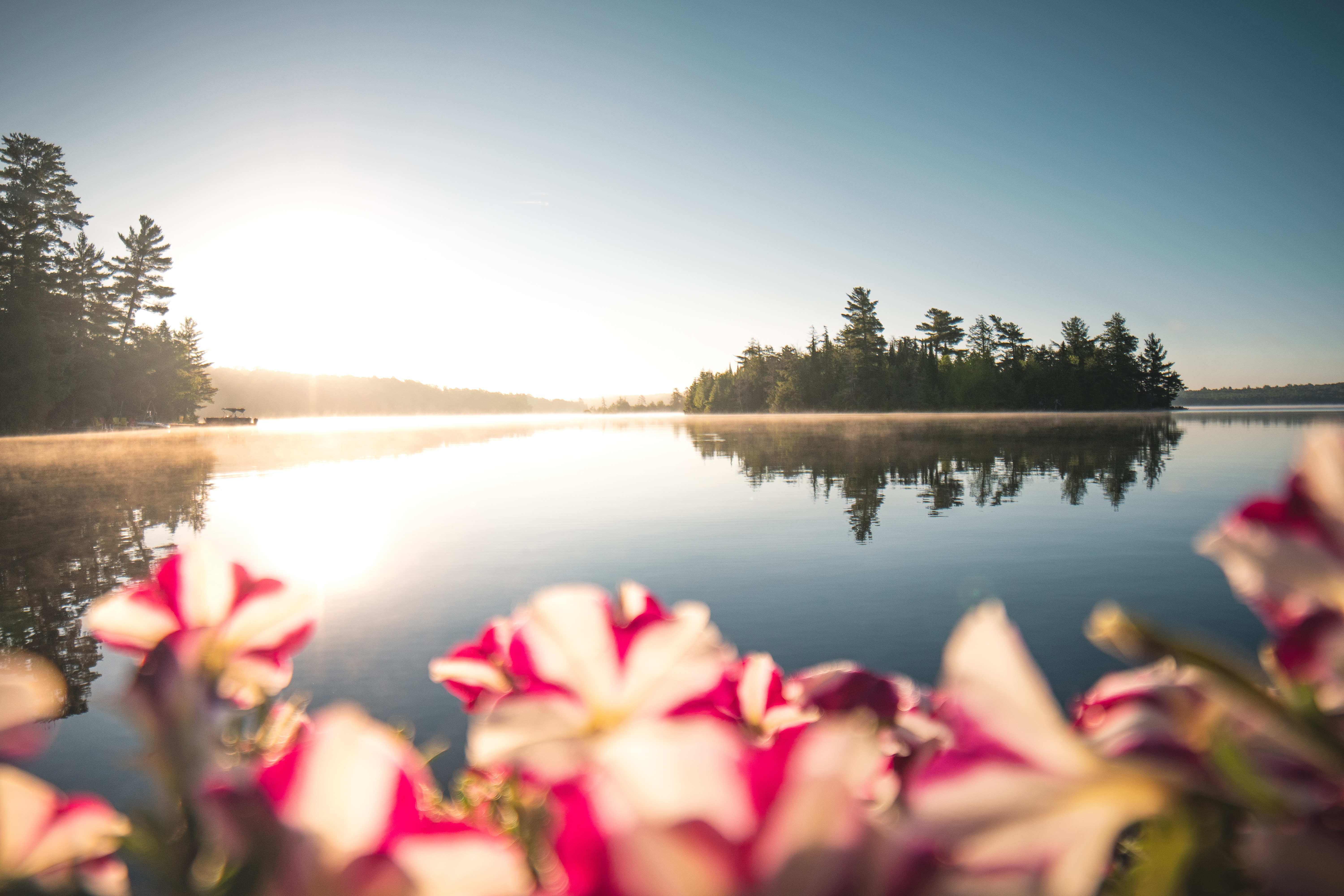 Lake in Summer