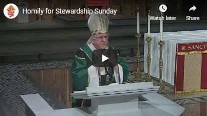 Homily for stewardship Sunday 2020